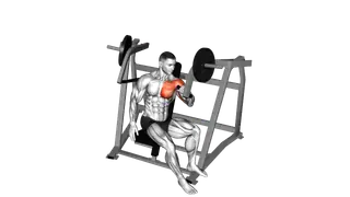 Lever One Arm Incline Chest Press (plate loaded) exercise