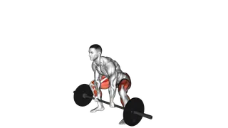 Barbell Paused Sumo Deadlift exercise