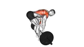 Barbell Paused Bent Over Row