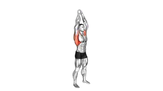 Shoulder Backbend Stretch exercise