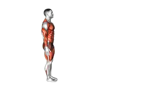 Inchworm and Mountain Climbers exercise