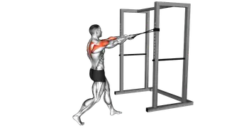 Band Face Pull exercise