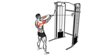 Cable Standing Face Pull exercise