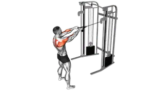 Cable Standing Face Pull (with rope) exercise