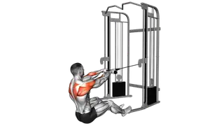 Cable Seated Face Pull (with rope)