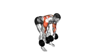 Dumbbell Bent Over Face Pull exercise