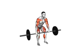Barbell Hang Power Clean exercise