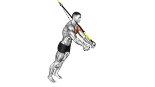 Suspension Fly