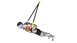 Suspension Chest Press