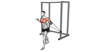 Band Incline Chest Press exercise