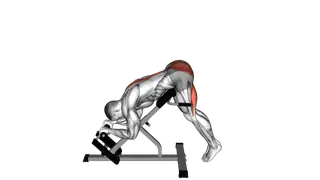 45 degrees Reverse Hyperextension exercise
