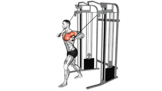 Cable Low Chest Press exercise