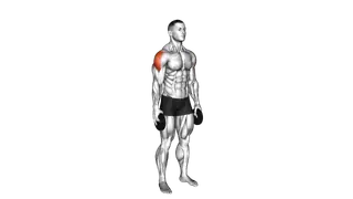 Weighted Full Can Exercise exercise