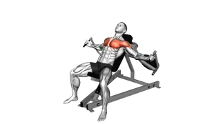 Lever Incline Fly exercise