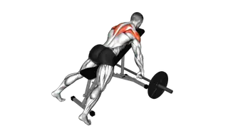 Barbell Incline Rear Delt Row exercise