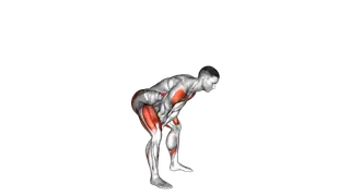 Bodyweight Swing exercise