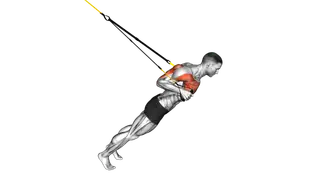 Suspension Close grip Chest Press