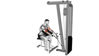 Cable Preacher Curl (rope attachment)
