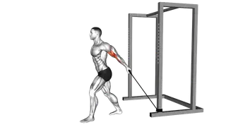 Band 45 degrees One Arm Biceps Curl exercise