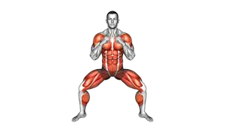 Half Squat Torso Punches