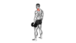 Dumbbell Single Arm Shrug
