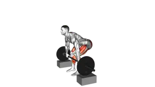 Barbell Deadlift from Blocks exercise
