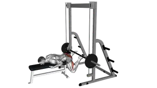 Smith Reverse Hyperextension exercise