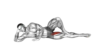 Bodyweight Side Lying Leg Adduction exercise