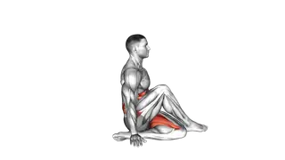 Ardha Matsyendrasana Yoga Pose exercise