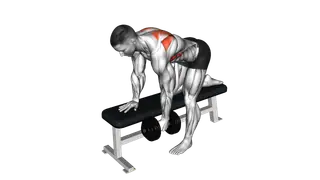 Dumbbell Bent Over Scapula Row
