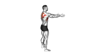 Bodyweight Standing Scapula Row exercise