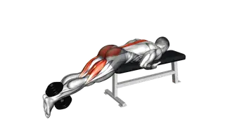 Dumbbell Reverse Hyperextension on Bench exercise