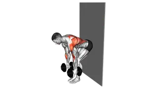 Dumbbell Bent Over Row against Wall