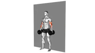 Dumbbell Alternate Hammer Srtict Curl exercise