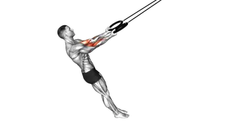 Ring Arm Curl exercise