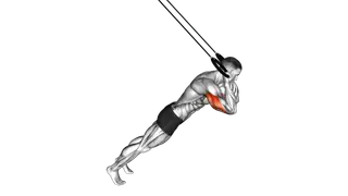 Ring Triceps Extension exercise