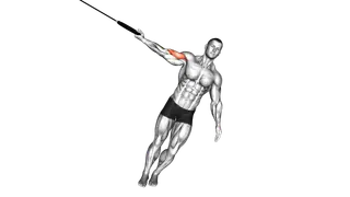 Ring One Arm Biceps Curl exercise