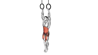 Ring Hanging Knees to Elbows exercise