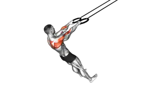 Ring Face Pull exercise