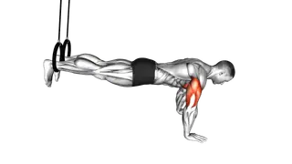 Ring Decline Push Up