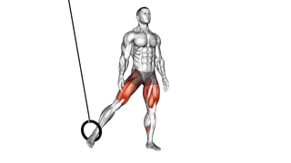 Ring Side Squat exercise