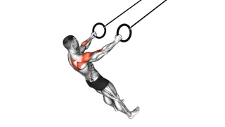 Ring Rear Delt Row