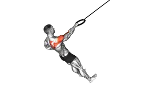 Ring Single Arm Rear Delt Row exercise