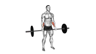 Barbell Standing Wrist Curl exercise