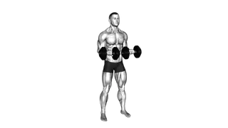 Dumbbell Standing Arms Rotate