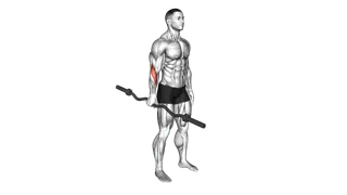 EZ Barbell Standing Single Arm Neutral Wrist Curl