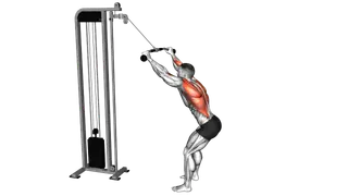 Cable Standing Lat Pulldown exercise