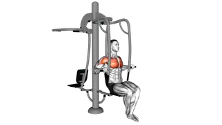 Lever Outdoor Seated Chest Press exercise