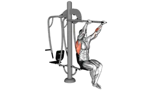Lever Outdoor Seated Lat Pulldown