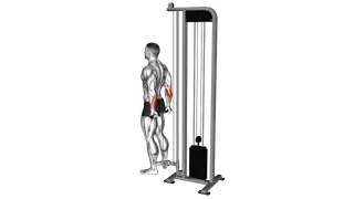 Cable Standing Back Wrist Curl exercise